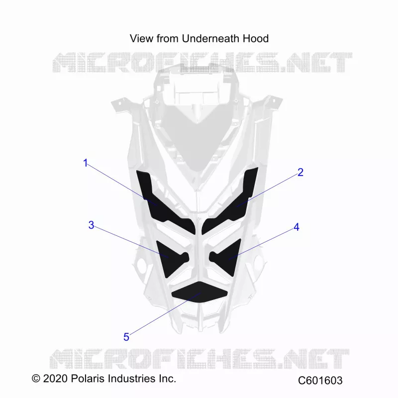 CAPOT FOAM/SEAL