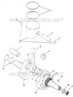 VILEBREQUIN AND PISTON TRAIL BOSS W968527 (4935883588C008)
