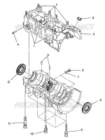 CARTERS MOTEUR ASSEMBLY 440 / 0930760 and 440 SKS / 0930560 (4922932293028A)