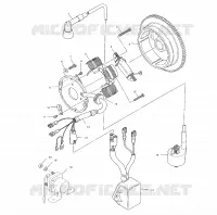STATOR