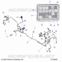 ELECTRICITE, WIRE HARNESS