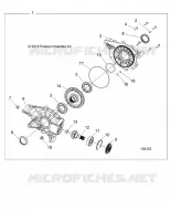 DRIVE TRAIN, PONT ARRIERE INTERNALS