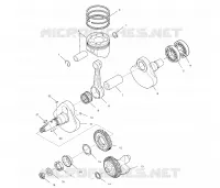 VILEBREQUIN AND PISTON
