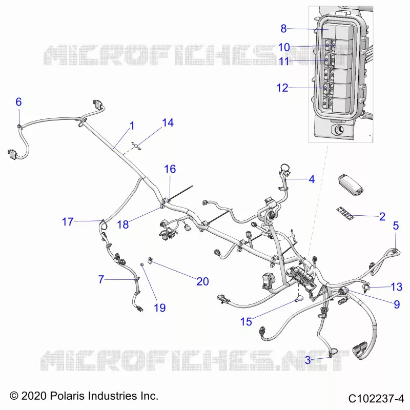 ELECTRICITE, HARNESS