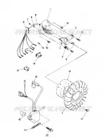 STATOR   Star (4915431543026A)