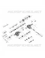 DRIVE TRAIN, PONT PRINCIPAL INTERNALS