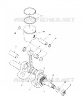 PISTON AND VILEBREQUIN STAR (4914151415024A)
