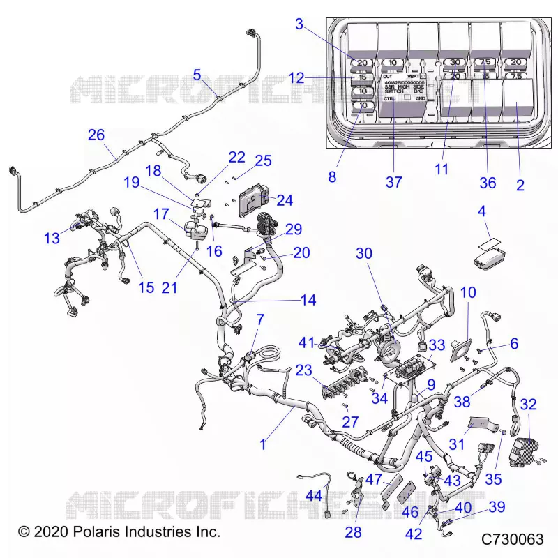 ELECTRICITE, WIRE HARNESS