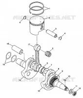 VILEBREQUIN AND PISTON XPLORER 300 W98CC28C (4945264526D001)