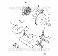 STATOR