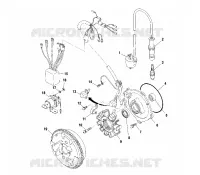 STATOR