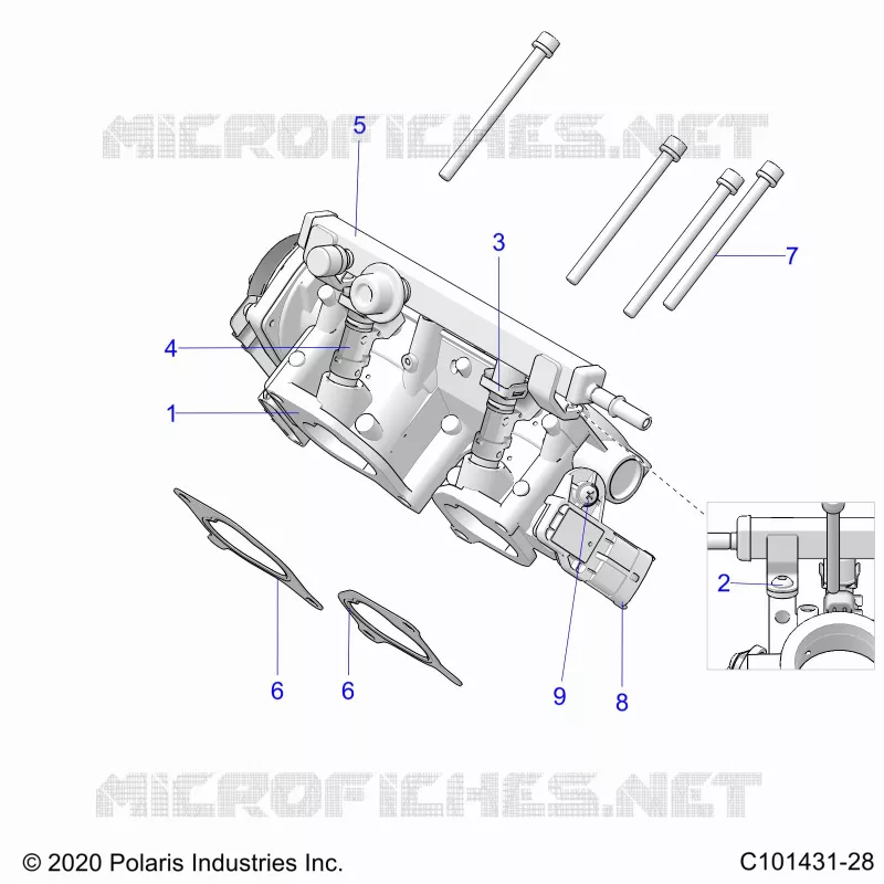 ENGINE, CORPS DE PAPILON