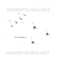 AMPOULES