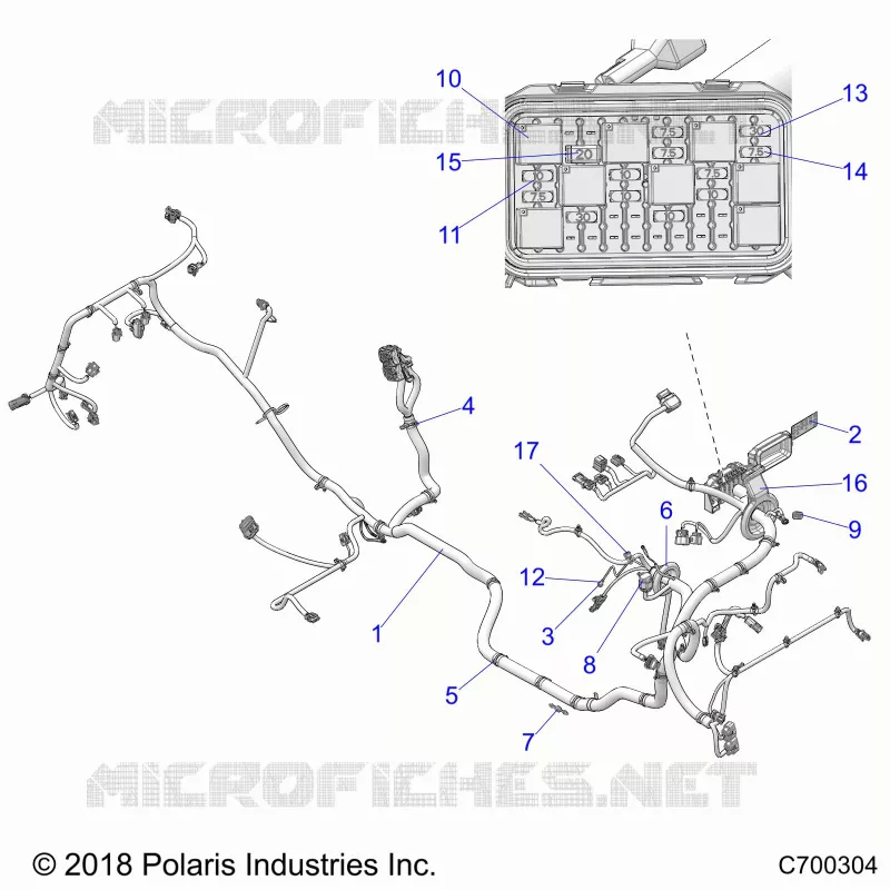ELECTRICITE, WIRE HARNESS