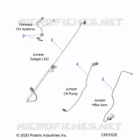 ELECTRICITE, JUMPER WIRES