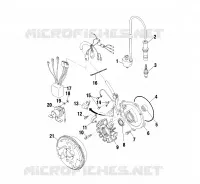 STATOR