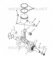 VILEBREQUIN AND PISTON 250 2X4
