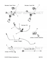 ELECTRICITE, JUMPERS/WIRE HARNESS