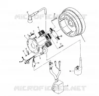 STATOR ASSEMBLY Trail Blazer / W927221 (4922852285036A)