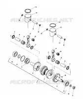 PISTON AND VILEBREQUIN (4910931093022A)