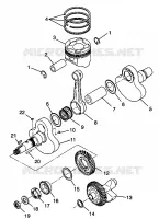 VILEBREQUIN AND PISTON