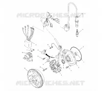 STATOR