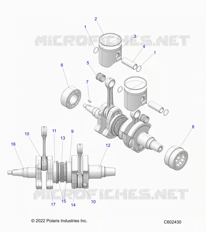ENGINE, PISTON AND VILEBREQUIN