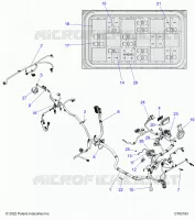 ELECTRICITE, WIRE HARNESS
