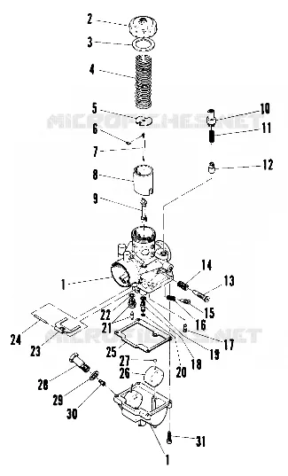 CARBURATEUR (4909520952021A)