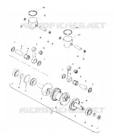 PISTON AND VILEBREQUIN (4909520952018A)