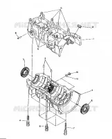 CARTERS MOTEUR 500 and 500 Classic (4921252125043A)