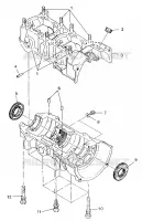 CARTERS MOTEUR