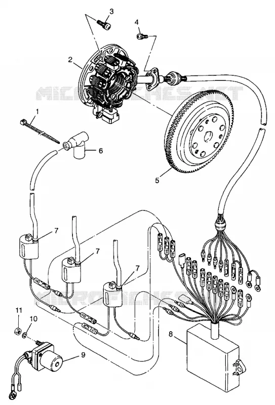STATOR