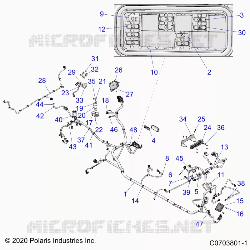 ELECTRICITE, WIRE HARNESS