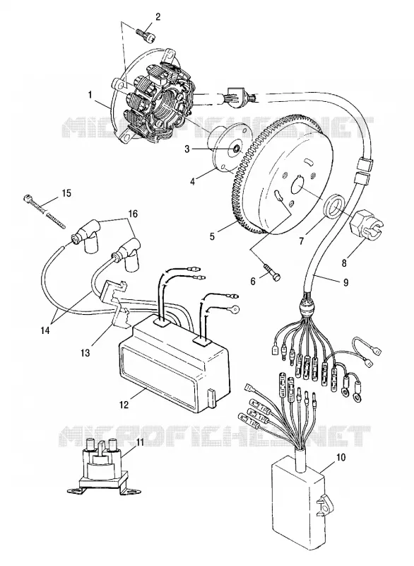 STATOR