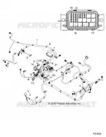 ELECTRICITE, HARNESS