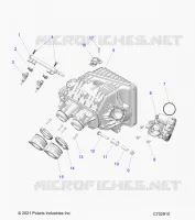 ENGINE, INTAKE MANIFOLD, CORPS DE PAPILON, FUEL RAIL- Z24NMF99AR/AM/BR/BM (C702910)