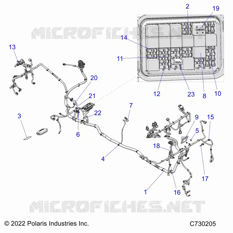 ELECTRICITE, WIRE HARNESS