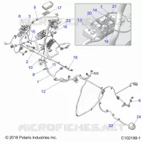 ELECTRICITE, HARNESS