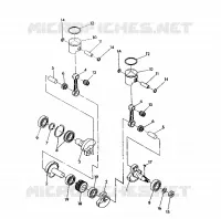 PISTON ET VILEBREQUIN INDY LITE (4921332133028A)