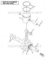 VILEBREQUIN AND PISTON ASSEMBLY (4910981098044A)