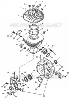 CARTERS MOTEUR AND CYLINDRE (300) XPRESS 300 W97CA28C (4939603960D003)