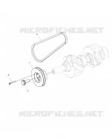 ENGINE, POULIE DE TRANSMISSION AND DRIVE BELT