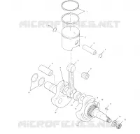 VILEBREQUIN AND PISTON