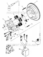 STATOR (300) XPRESS 300 W969530 (4935923592D006)