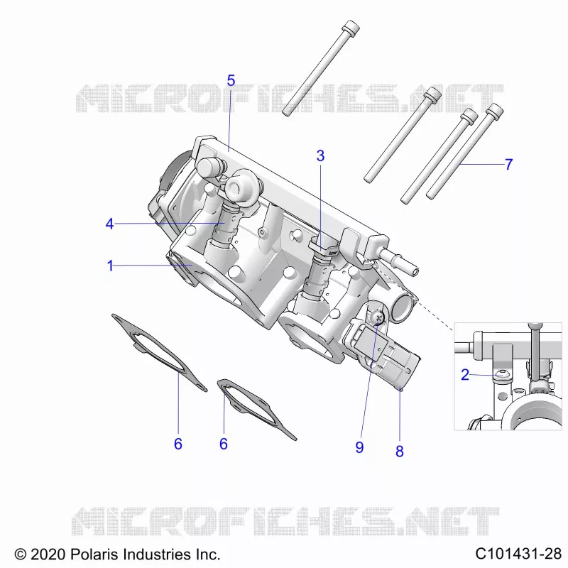 ENGINE, CORPS DE PAPILON