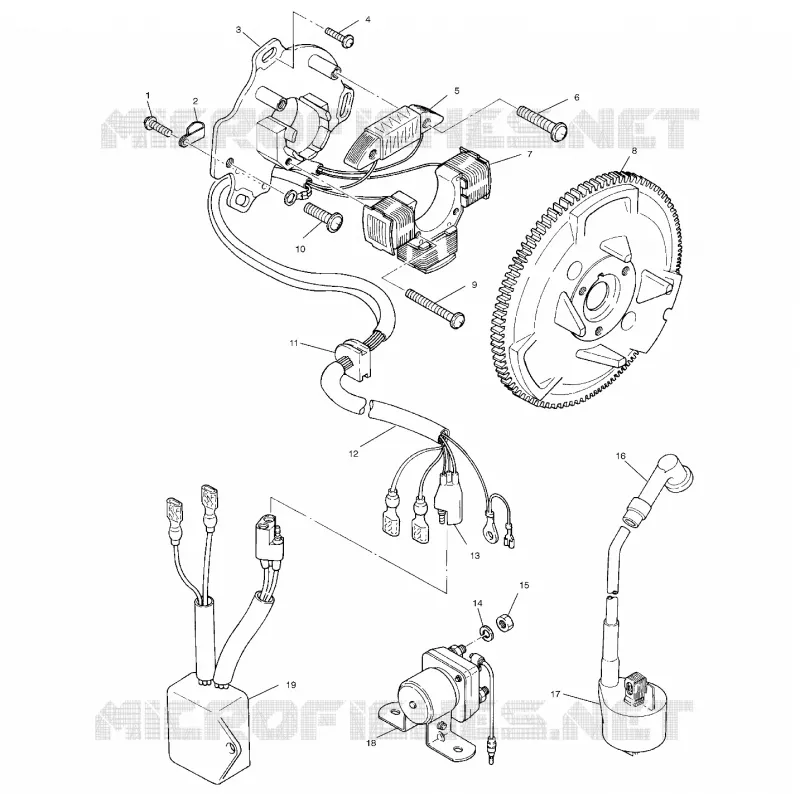 STATOR