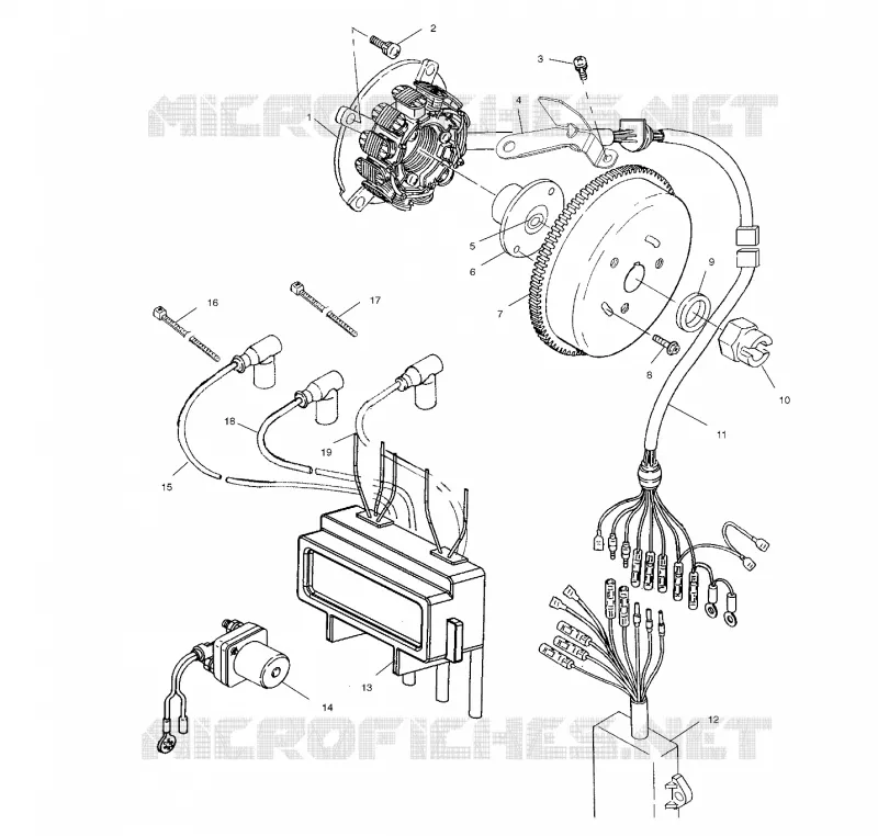 STATOR