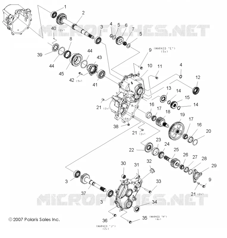 PONT PRINCIPAL, INTERNAL COMPONENTS 1