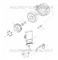 STATOR